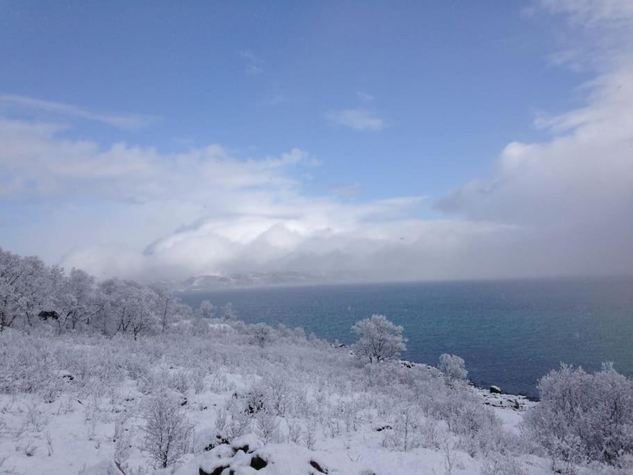 Fantastic View, Quiet And Relaxing By The Sea Villa Kvaloya Eksteriør bilde
