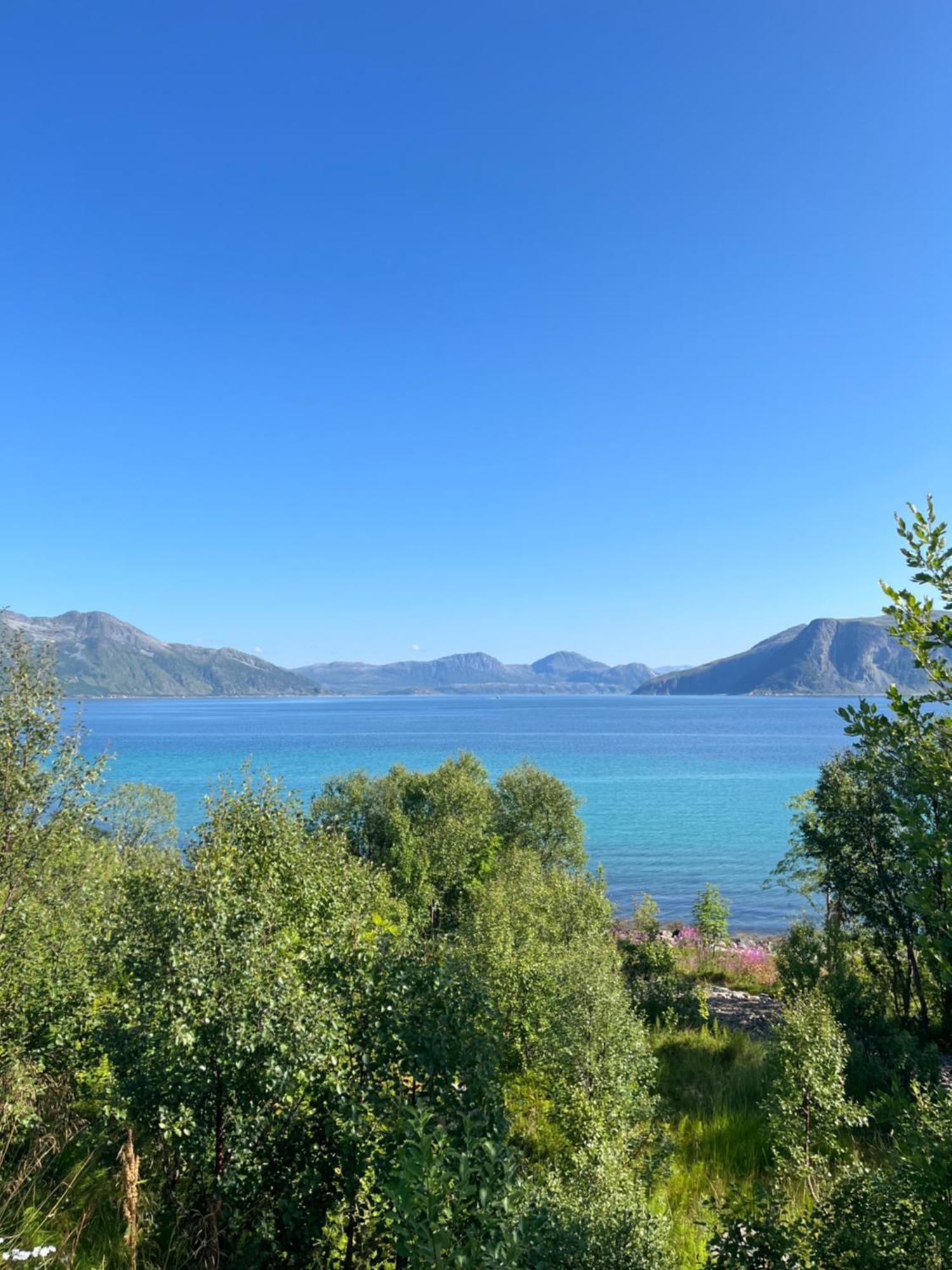 Fantastic View, Quiet And Relaxing By The Sea Villa Kvaloya Eksteriør bilde